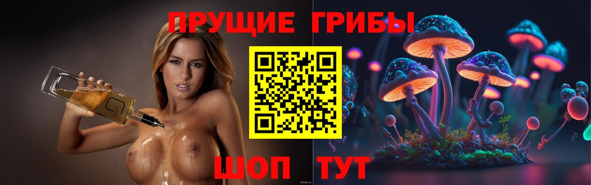 Кисловодск  Псилоцибиновые грибы GOLDEN TEACHER  Псилоцибиновые грибы мухоморы  хочу   Вход с VPN 
